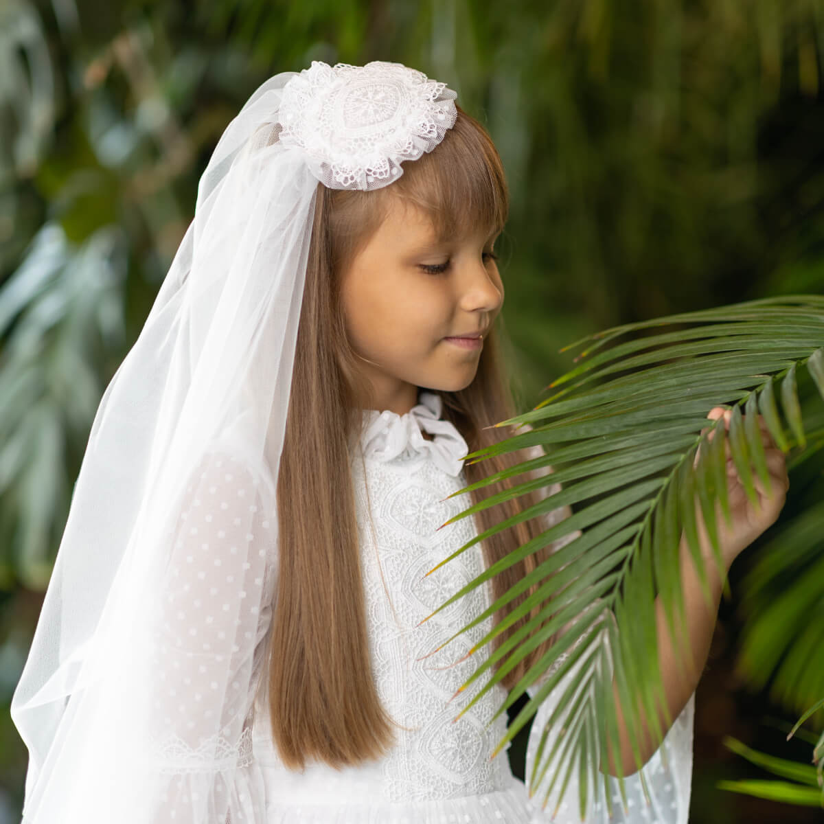 Young girl in a white dress with a First Communion Mantilla holding a green leafy plant.
